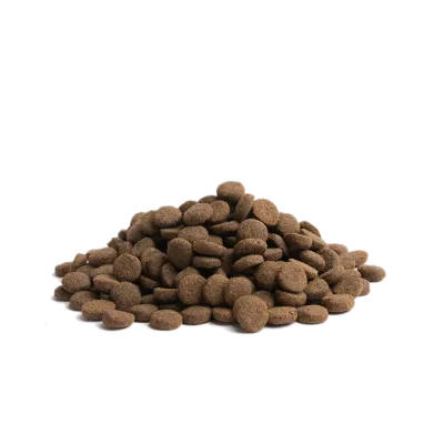 Croquette chien ESTATE LIVING 10 KG ESSENTIAL FOODS sans cereales