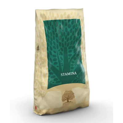 Croquettes chien STAMINA 10 KG ESSENTIAL FOODS