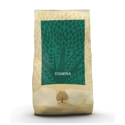 Croquettes chien STAMINA 10 KG ESSENTIAL FOODS