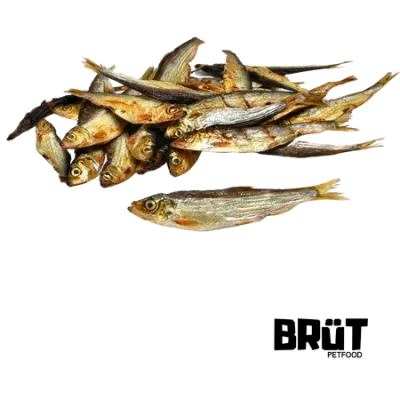 Sprats BRÜT : friandises délicieuses 100% poisson pour chiens