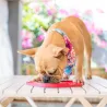 Tapis de léchage chien LickiMat Slomo