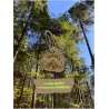 Médaille FORESTA Modèle Buddy