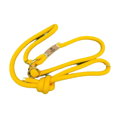 Laisse lassos  pour chiens - Ty Bleiz