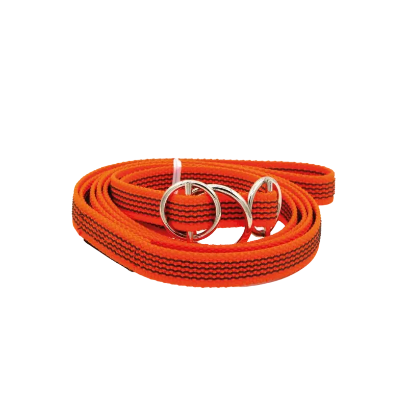 LAISSE LASSO 160cm EN GOMME